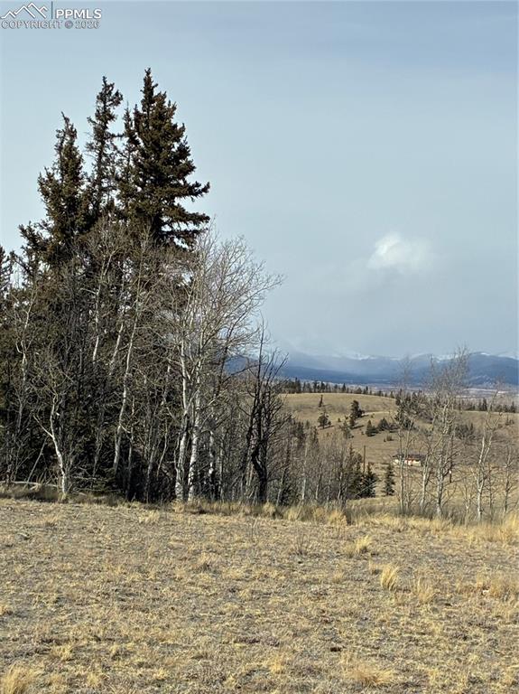 Image 21 of 38: View