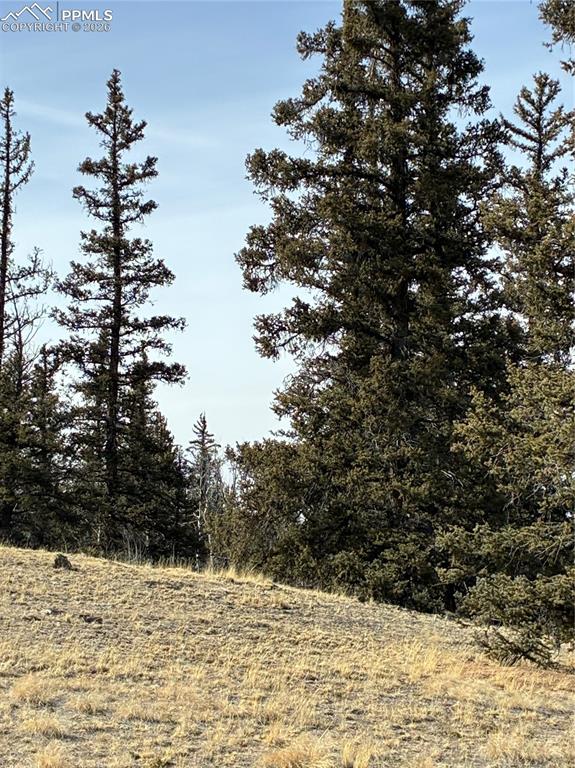 Image 22 of 38: Other