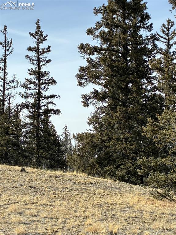 Image 23 of 38: Other