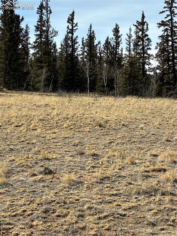 Image 24 of 38: Other