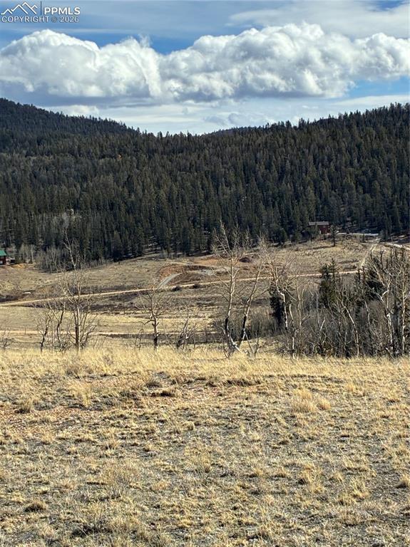 Image 26 of 38: View