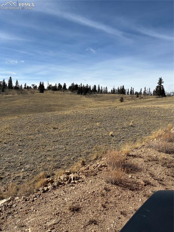 Image 27 of 38: Other