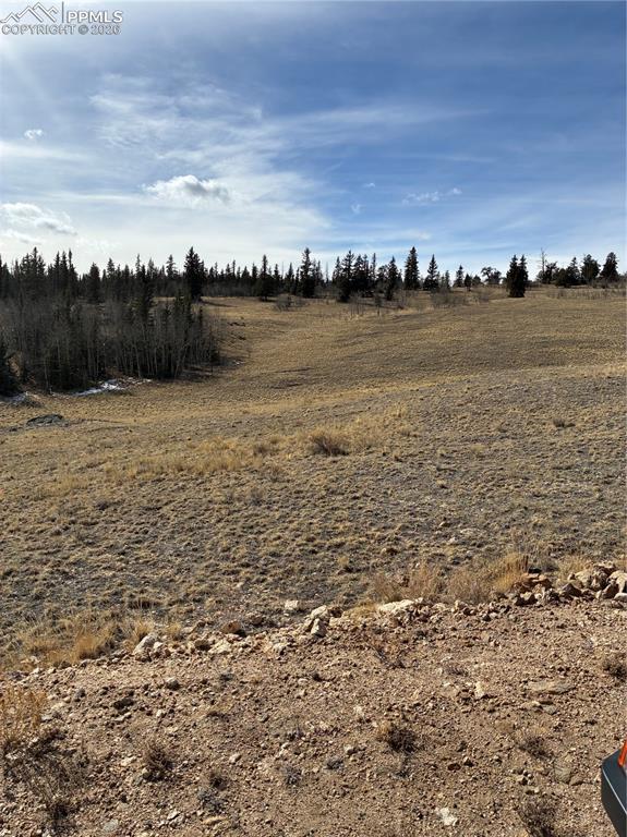 Image 28 of 38: Other