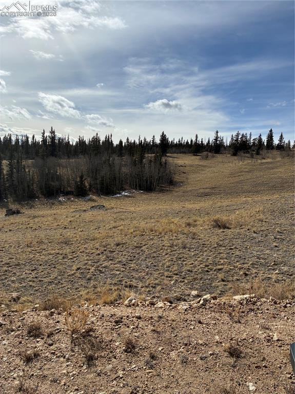 Image 29 of 38: Other