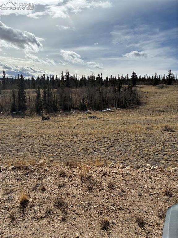 Image 30 of 38: Other