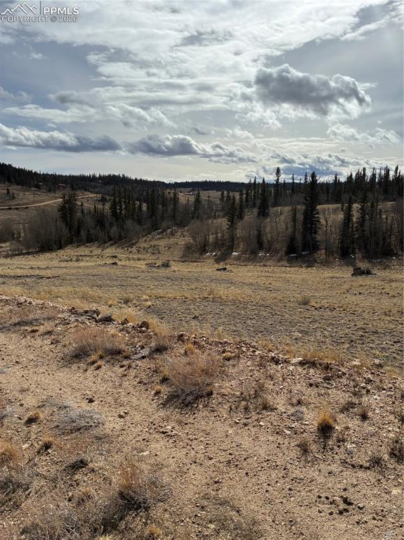 Image 33 of 38: Other