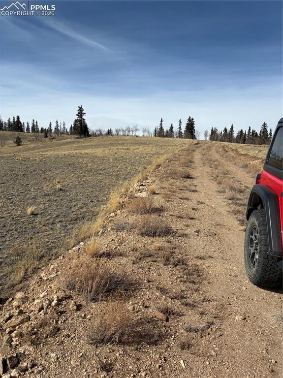 Image 38 of 38: Community