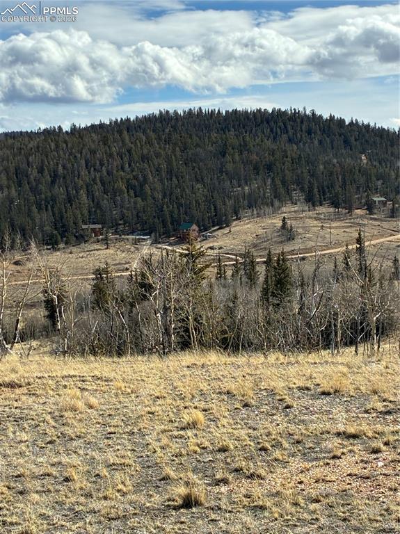 Image 9 of 38: Other