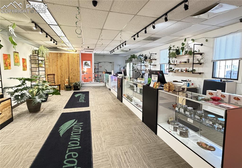 Image 6 of 6: Reception