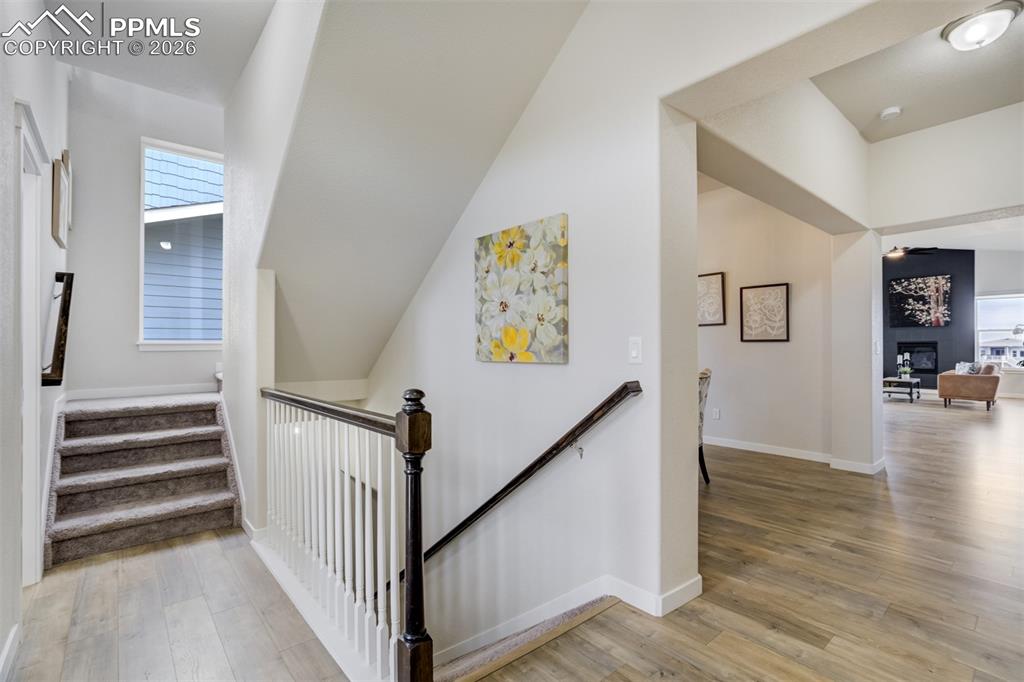 Image 16 of 50: Other