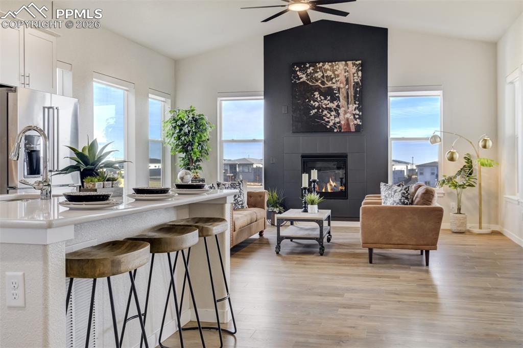 Image 3 of 50: Other