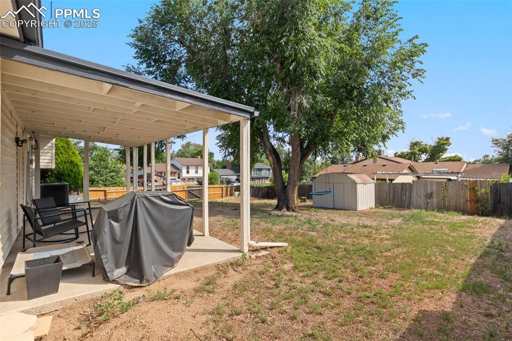 Image 21 of 24: Fenced backyard with a storage unit, large shade tree and fence with large