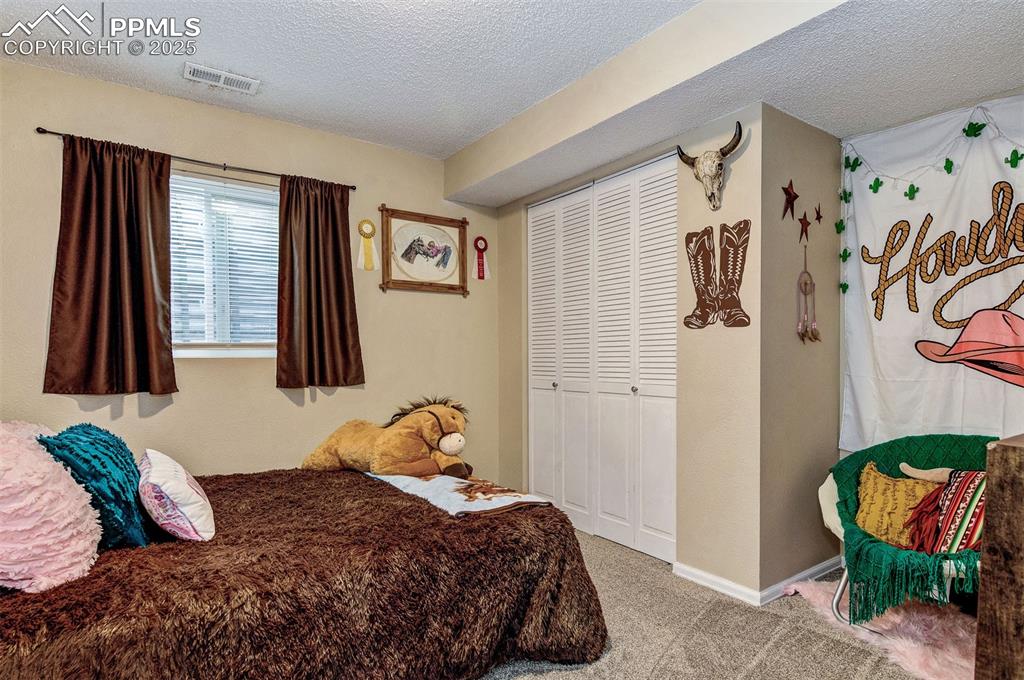 Image 16 of 27: Lower level bedroom