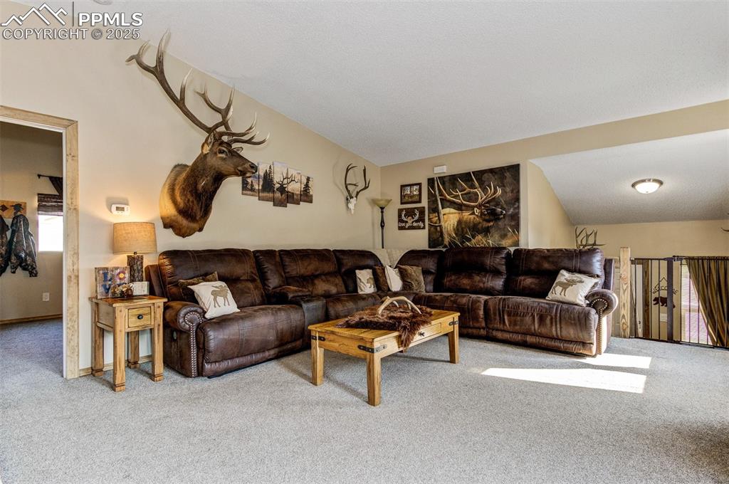 Image 5 of 27: Living room with carpet floors and vaulted ceiling