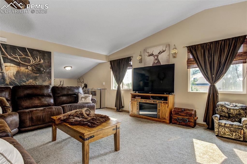 Image 6 of 27: Living room featuring lofted ceiling and light carpet