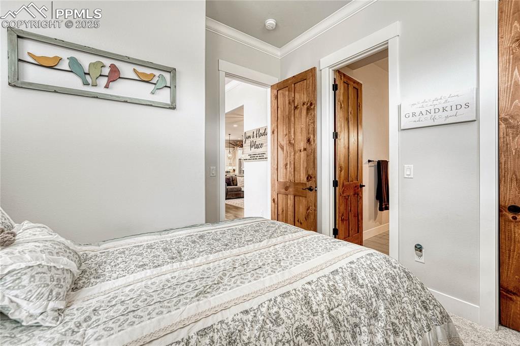 Image 22 of 50: 
Master Bedroom, Carpeted,