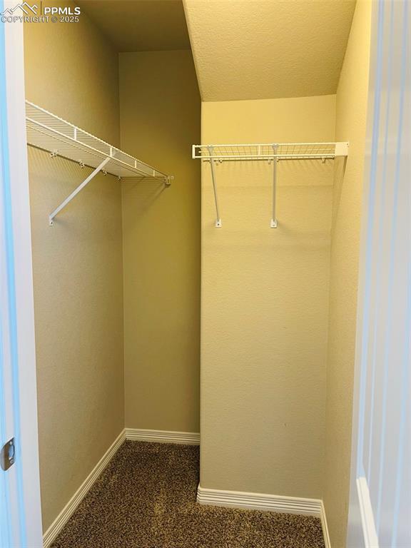 Image 17 of 19: Walk in closet with dark carpet