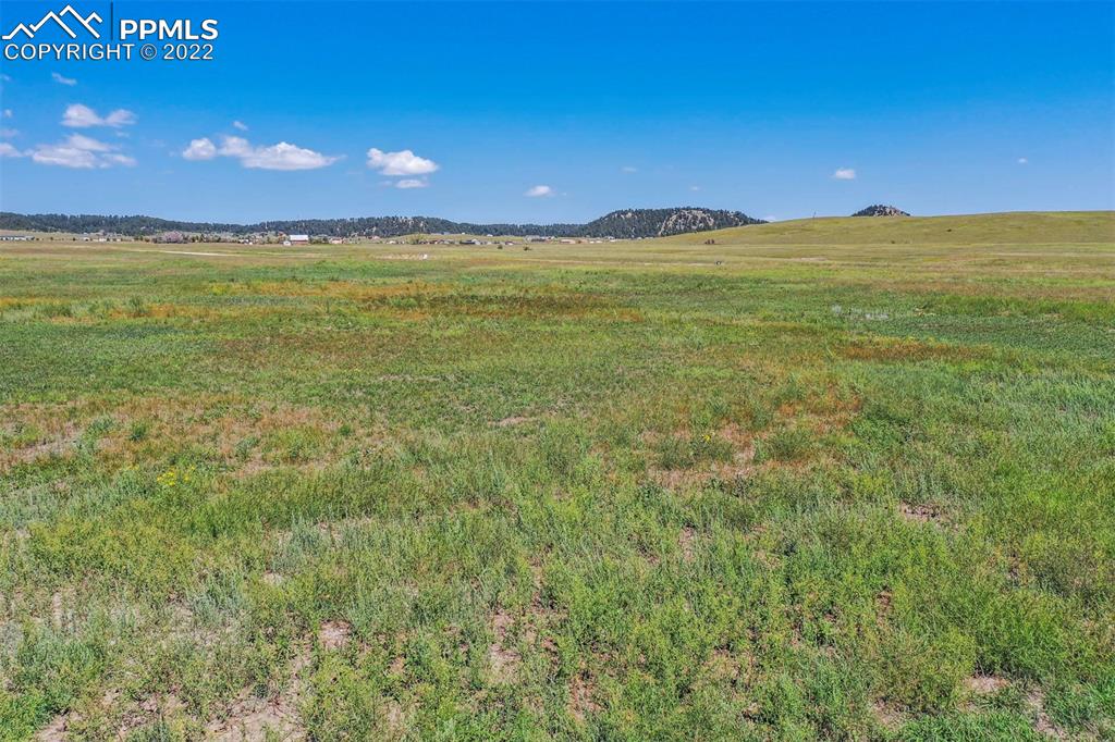 Image 16 of 20: No Description Available