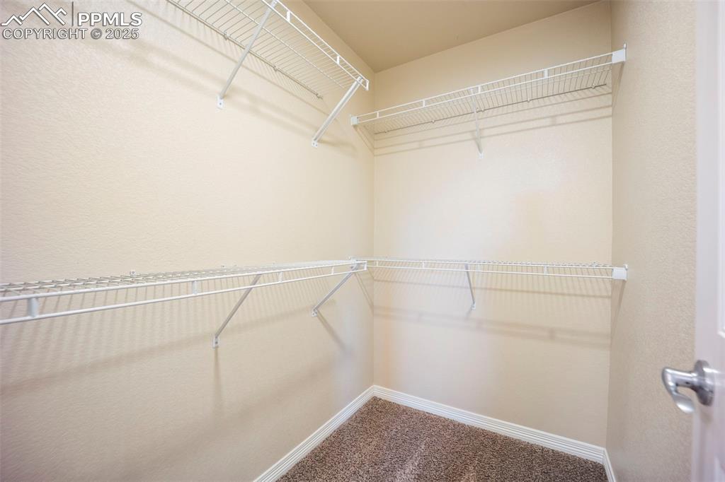 Image 26 of 39: Walk in closet with carpet floors