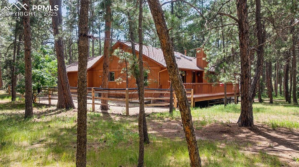 Image 5 of 49: Other