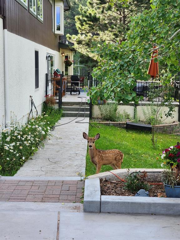 Image 17 of 25: Yard