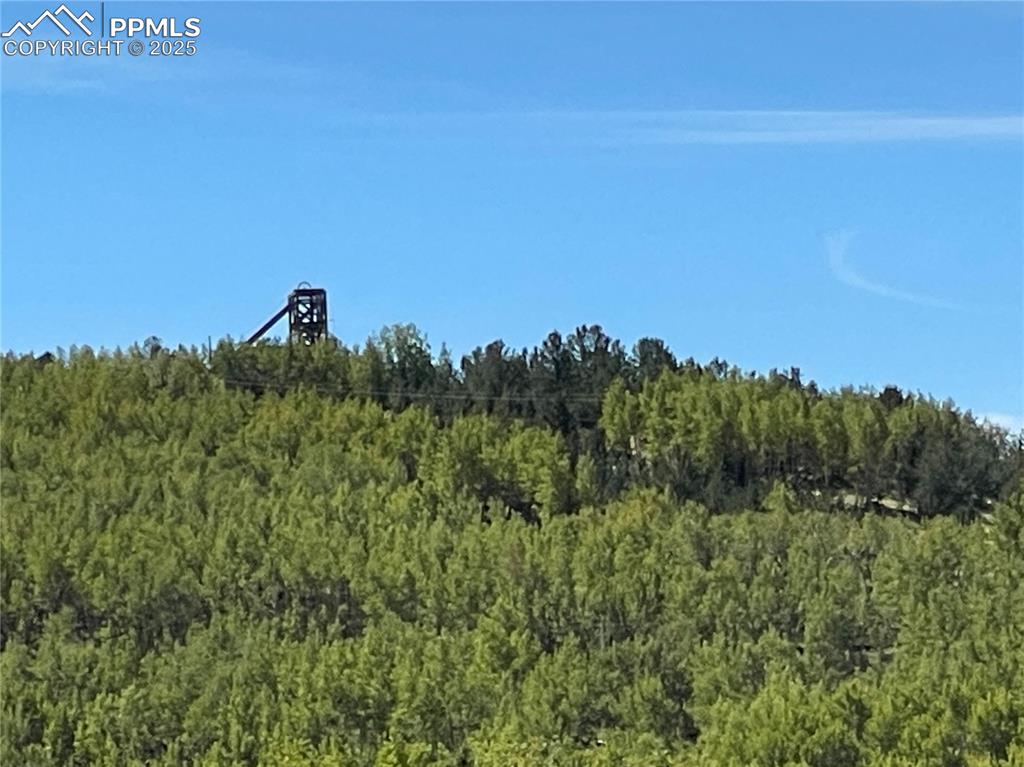 Image 22 of 28: View of woods