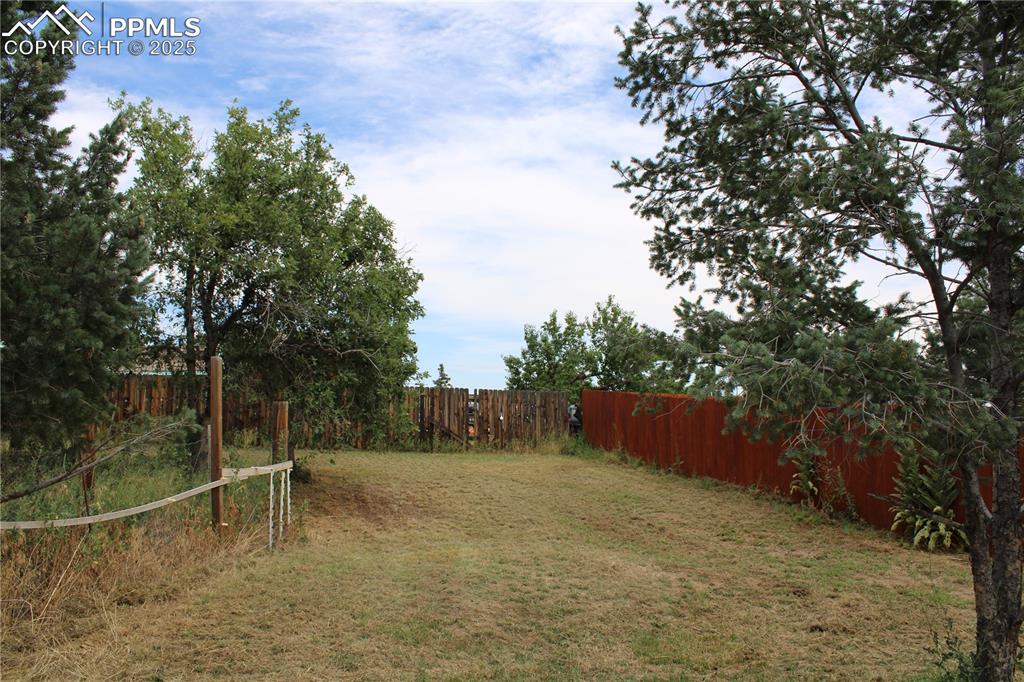 Image 29 of 41: View of backyard