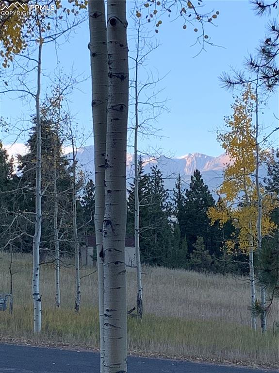 Image 4 of 43: mountainous background