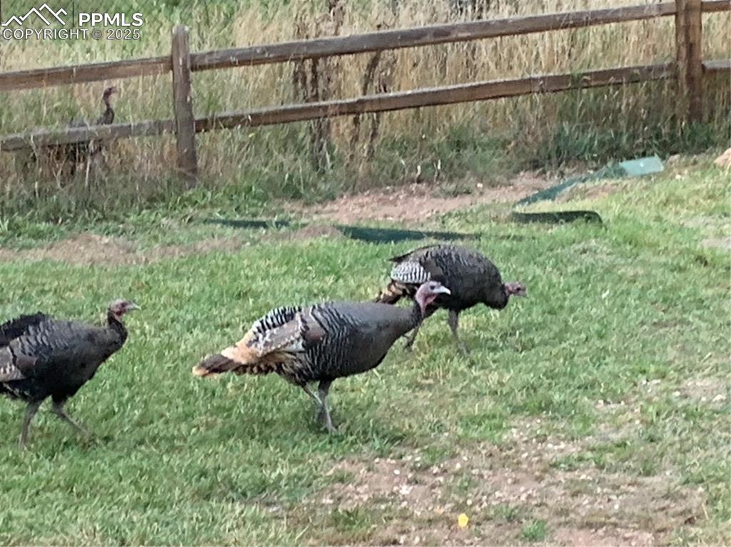 Image 43 of 43: Exterior view