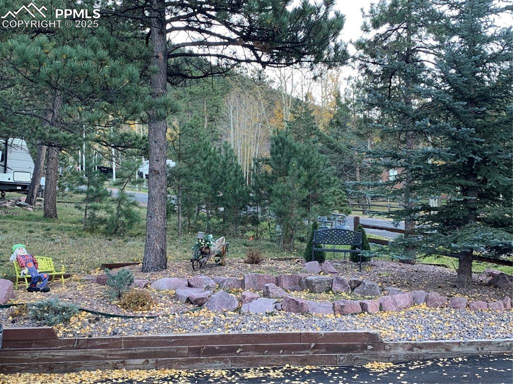 Image 6 of 43: Landscaping