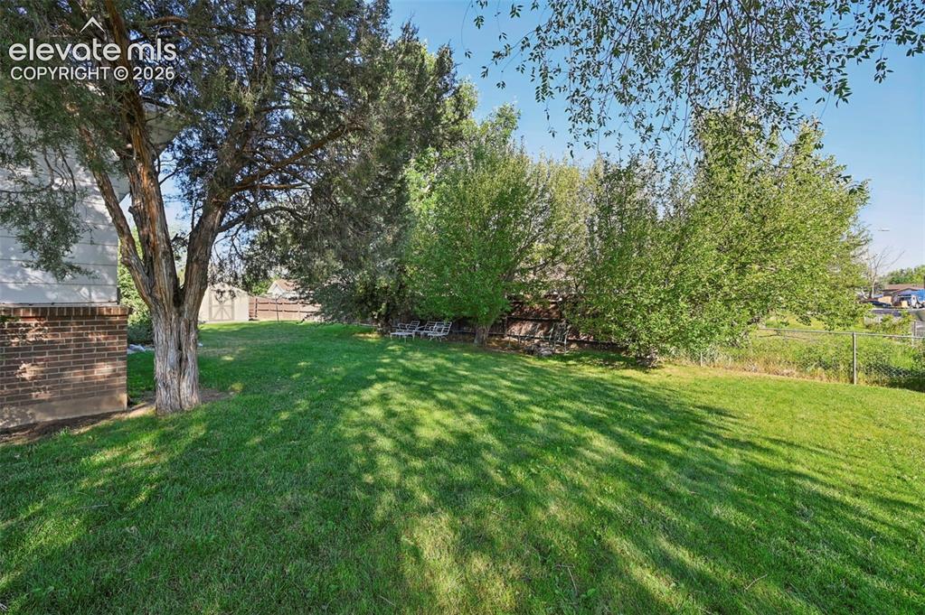Image 6 of 36: Yard