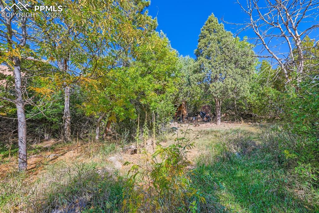 Image 4 of 7: Large yard.  Two lots are included with the sale.