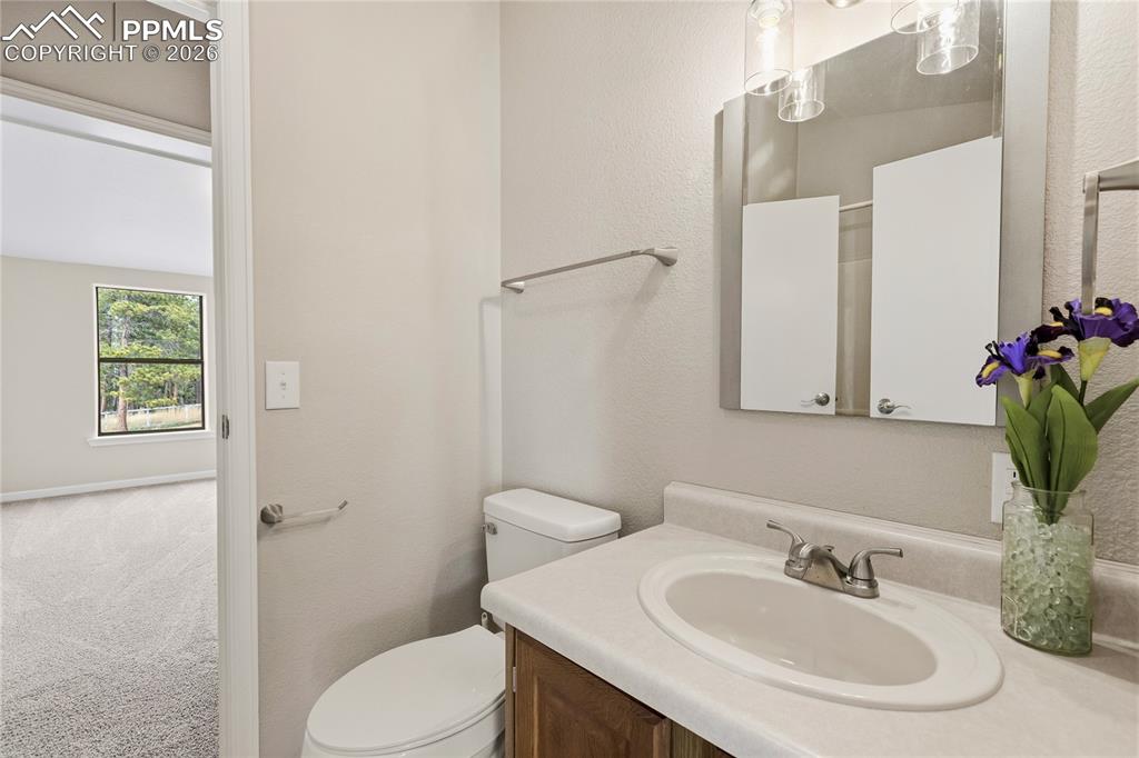 Image 31 of 46: Half bath featuring vanity, carpet floors, and a textured wall