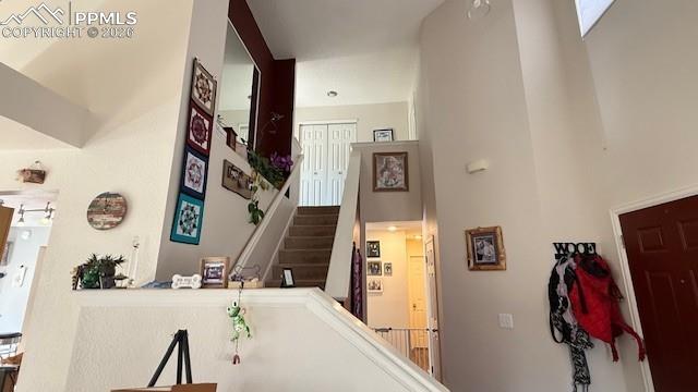 Image 14 of 30: Other