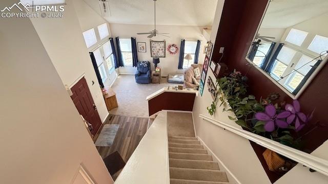 Image 24 of 30: Other