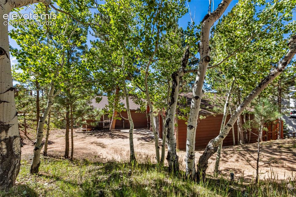 Image 3 of 34: Aspens out front 
