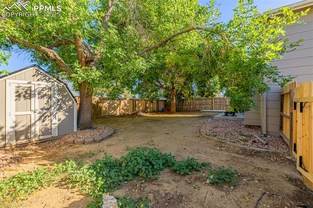 Image 26 of 36: Yard