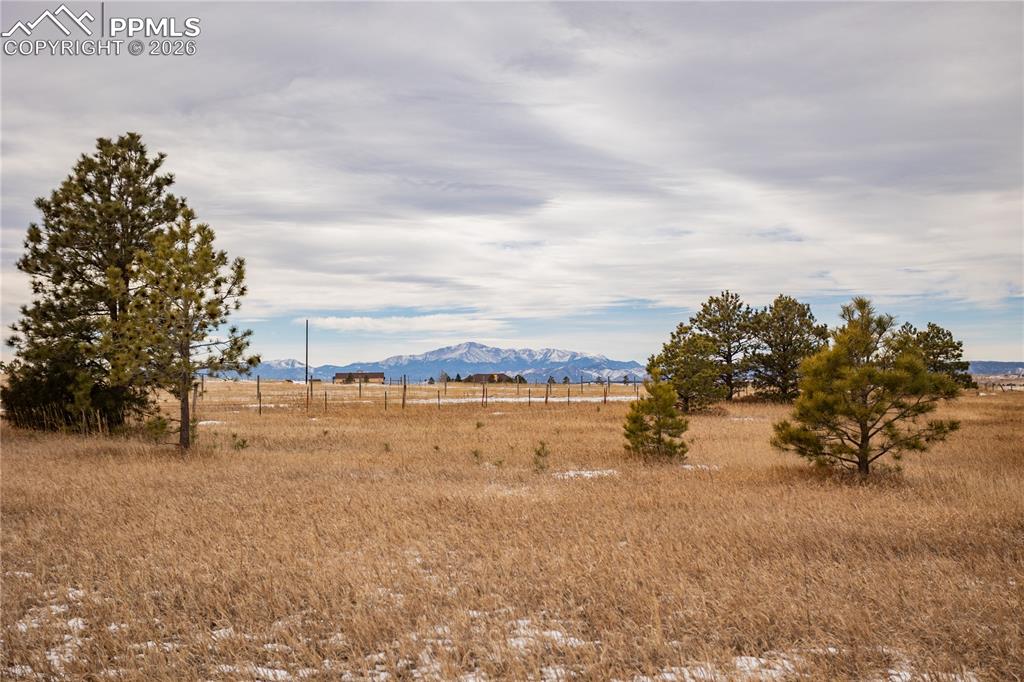 Image 34 of 41: Yard