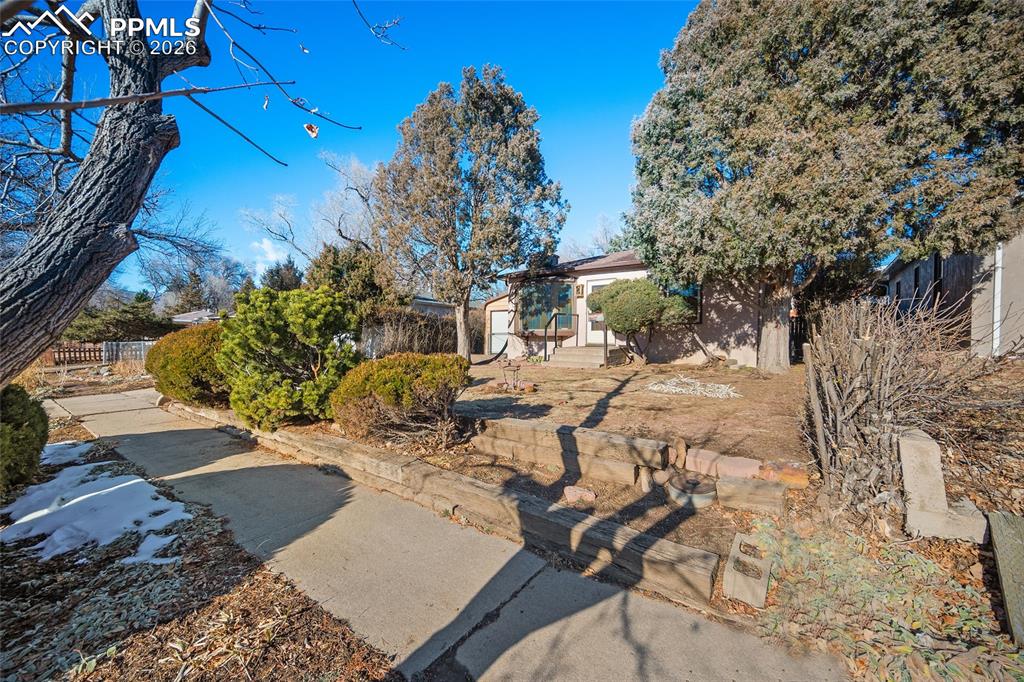 Image 48 of 48: Yard