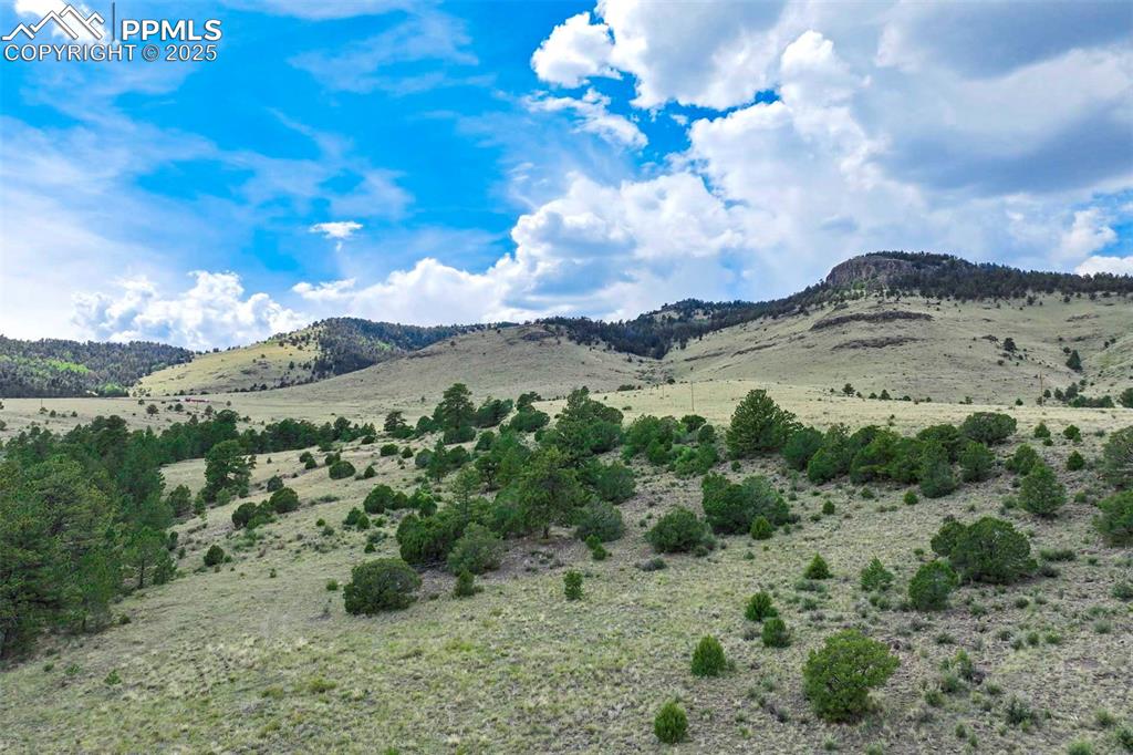 Image 10 of 50: View