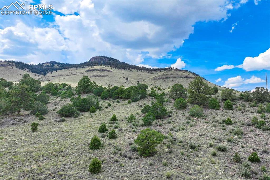 Image 11 of 50: View