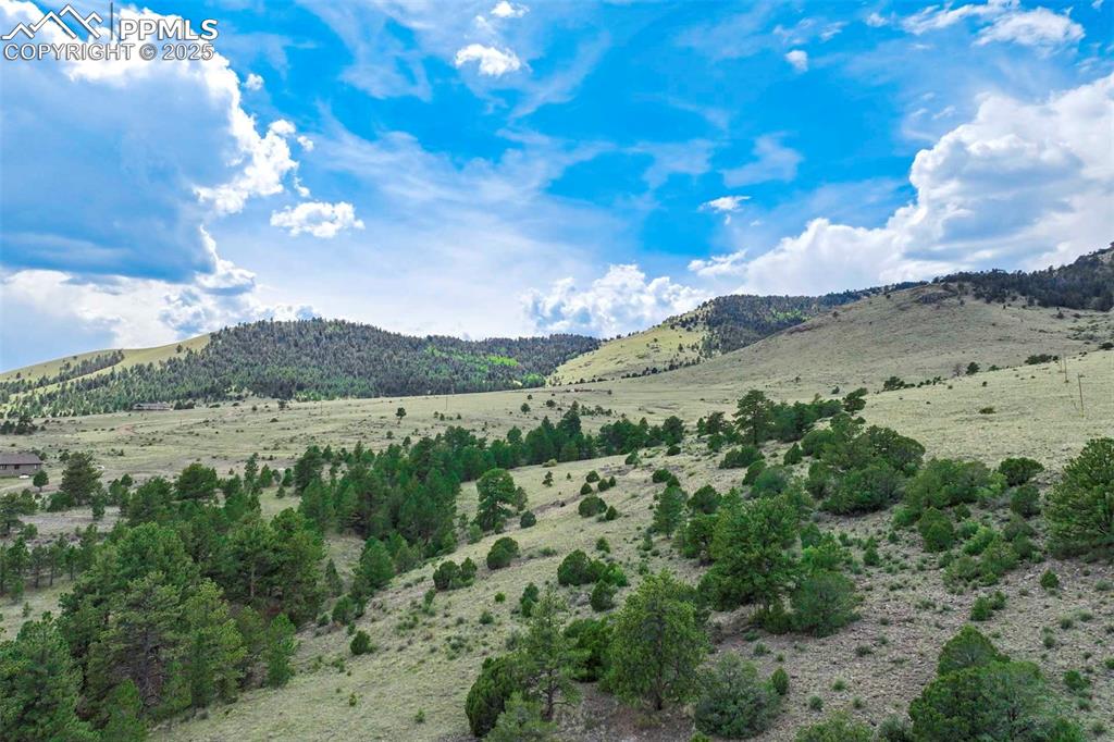 Image 12 of 50: View