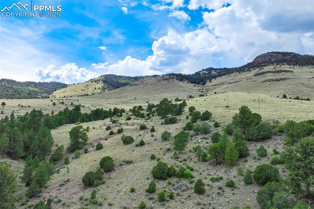 Image 13 of 50: View