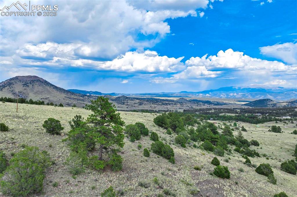 Image 14 of 50: View