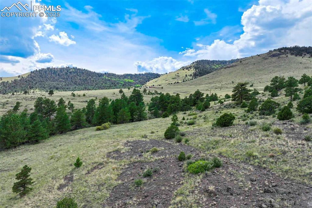 Image 16 of 50: View