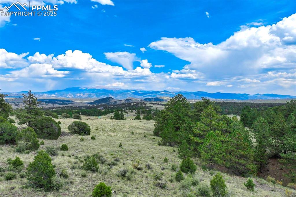 Image 18 of 50: View