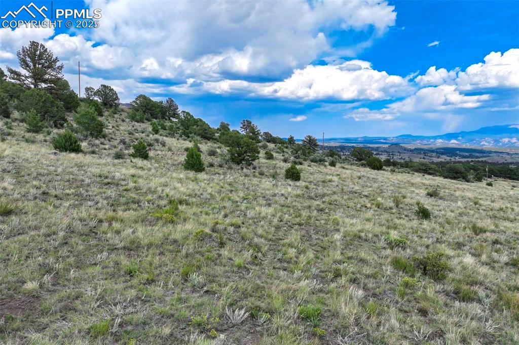 Image 20 of 50: Other