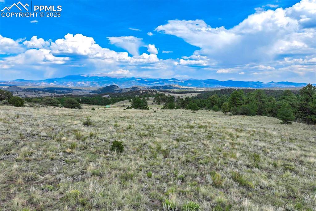 Image 21 of 50: View