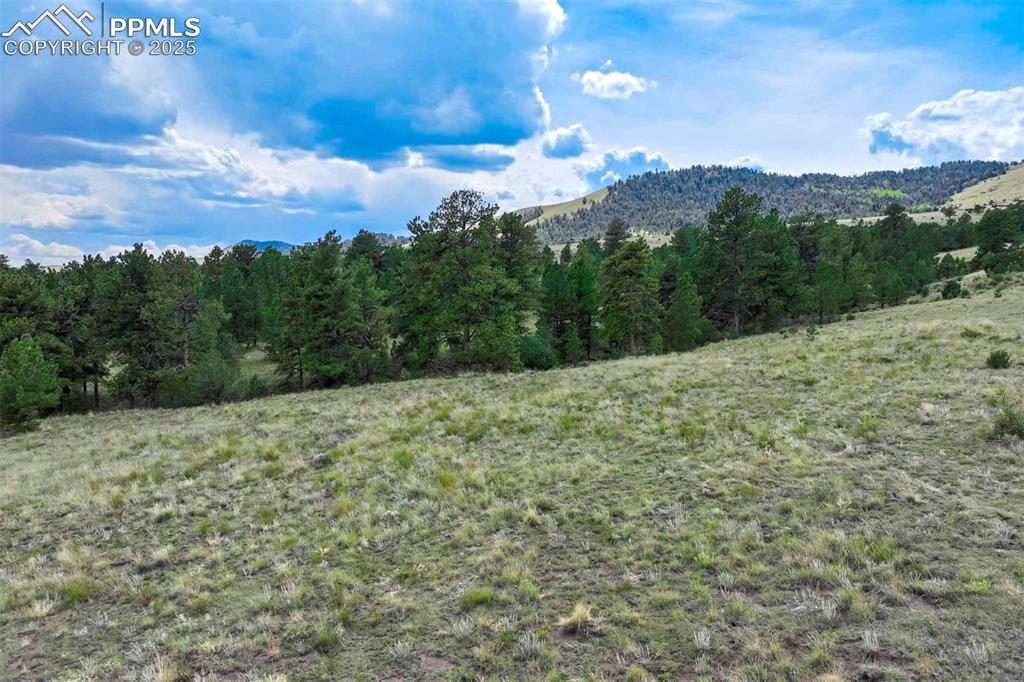 Image 22 of 50: View