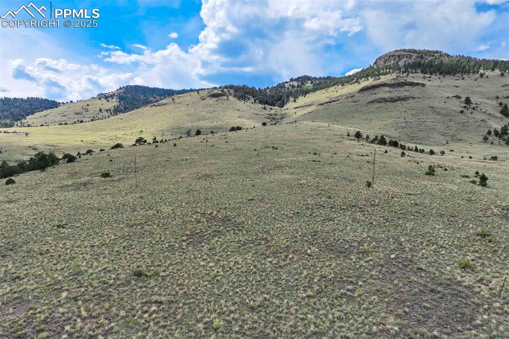 Image 25 of 50: View